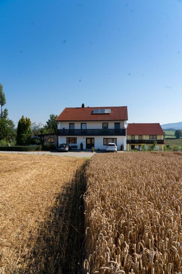 Im Idyll 3 Apartment Hengersberg Exterior photo